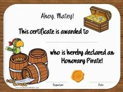 Pirate award