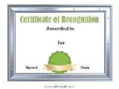 silver metallic border with green ribbon