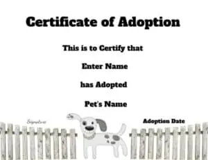 Certificate of adoption